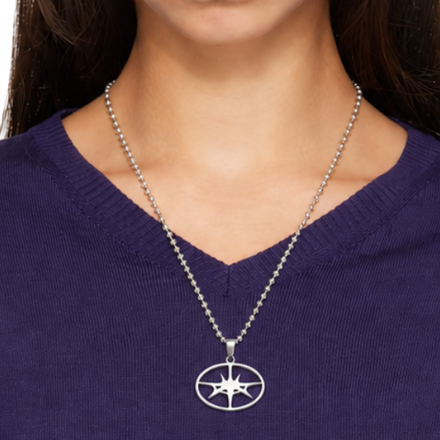 The Link transparent product image